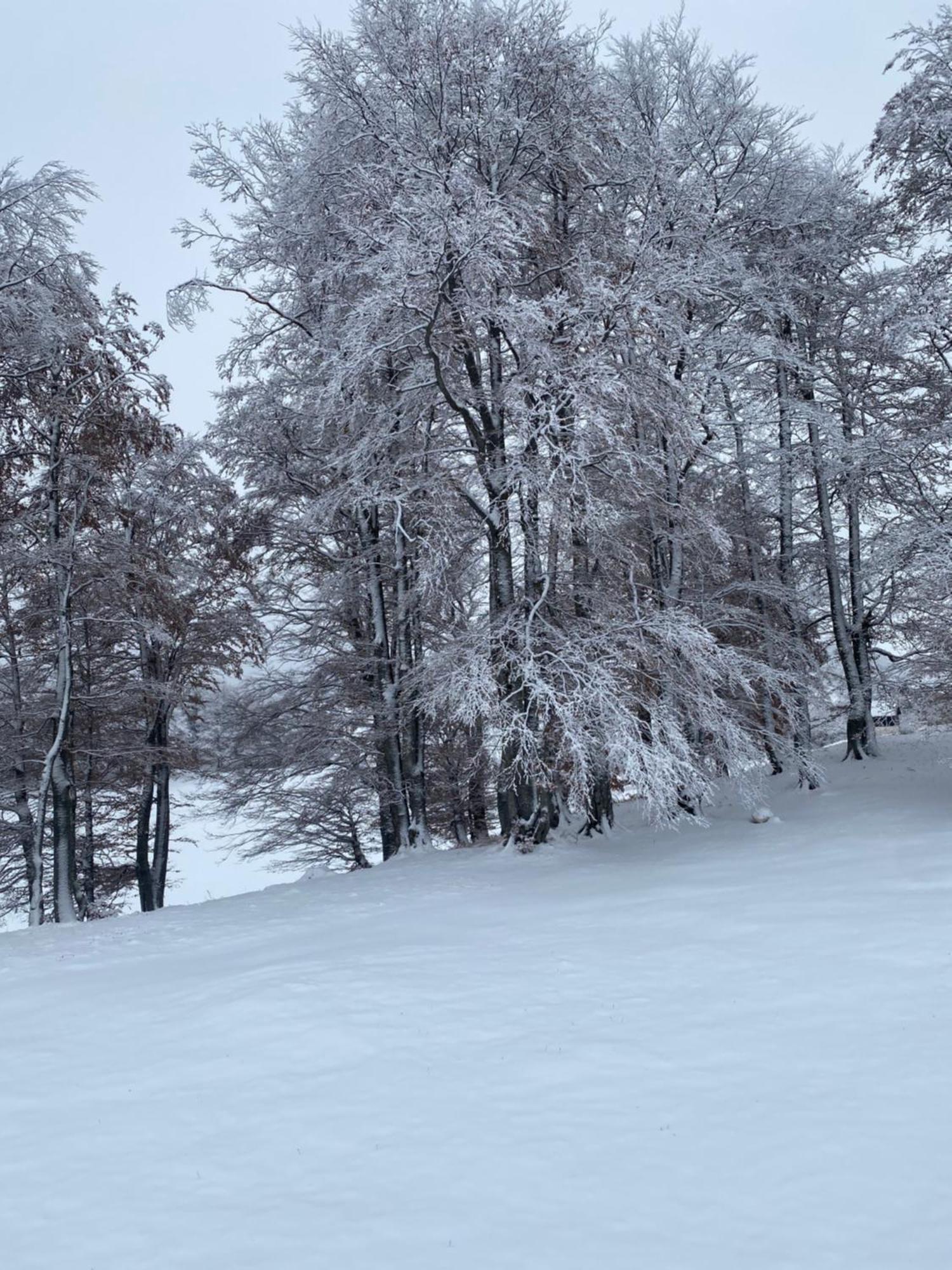 Vikendica Aleksandra Žabljak Zewnętrze zdjęcie